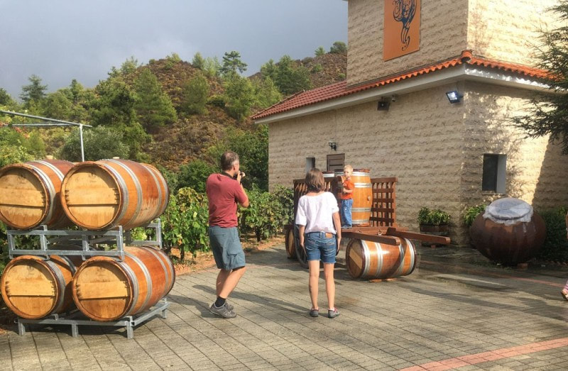 Vino Venture wine tour from Ayia Napa