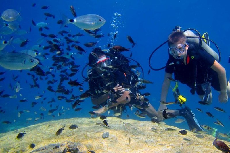 Discover scuba diving for beginners in Ayia Napa