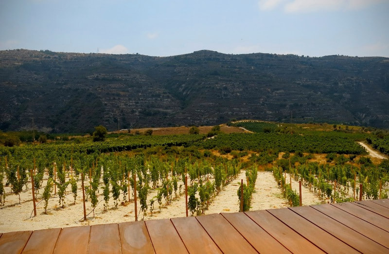 Beyond the Grape Wine Tour from Ayia Napa