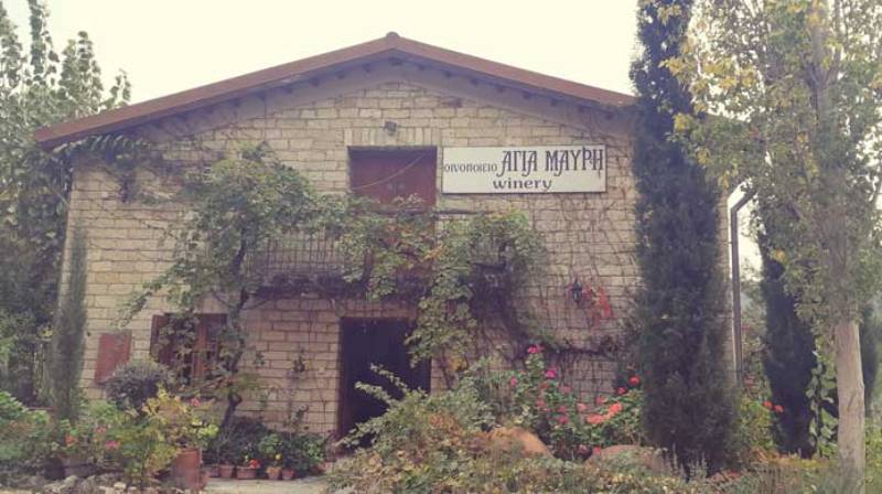 Beyond the Grape Wine Tour from Ayia Napa