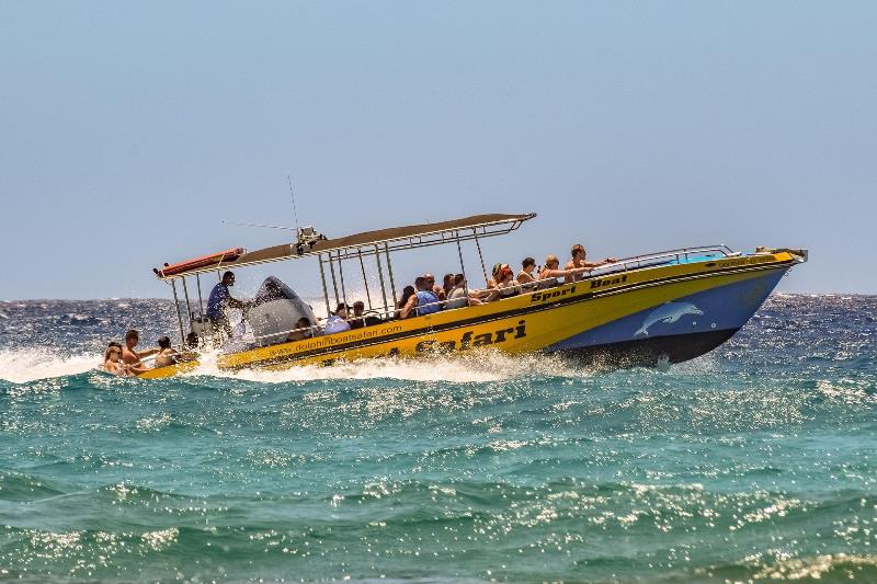 Dolphin Boat Safari Ayia Napa