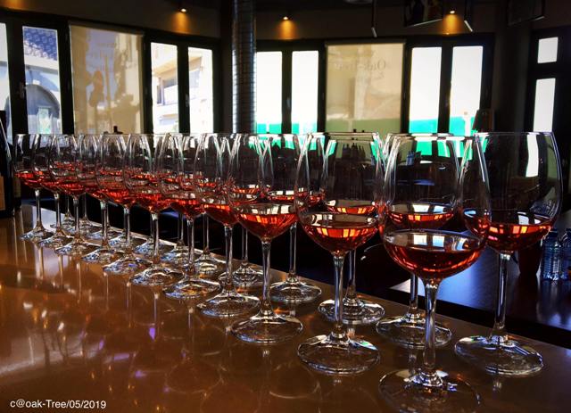 Wine Tasting Tours from Ayia Napa