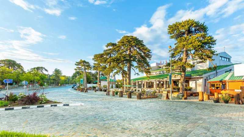 Discover Cyprus coach tour from Ayia Napa